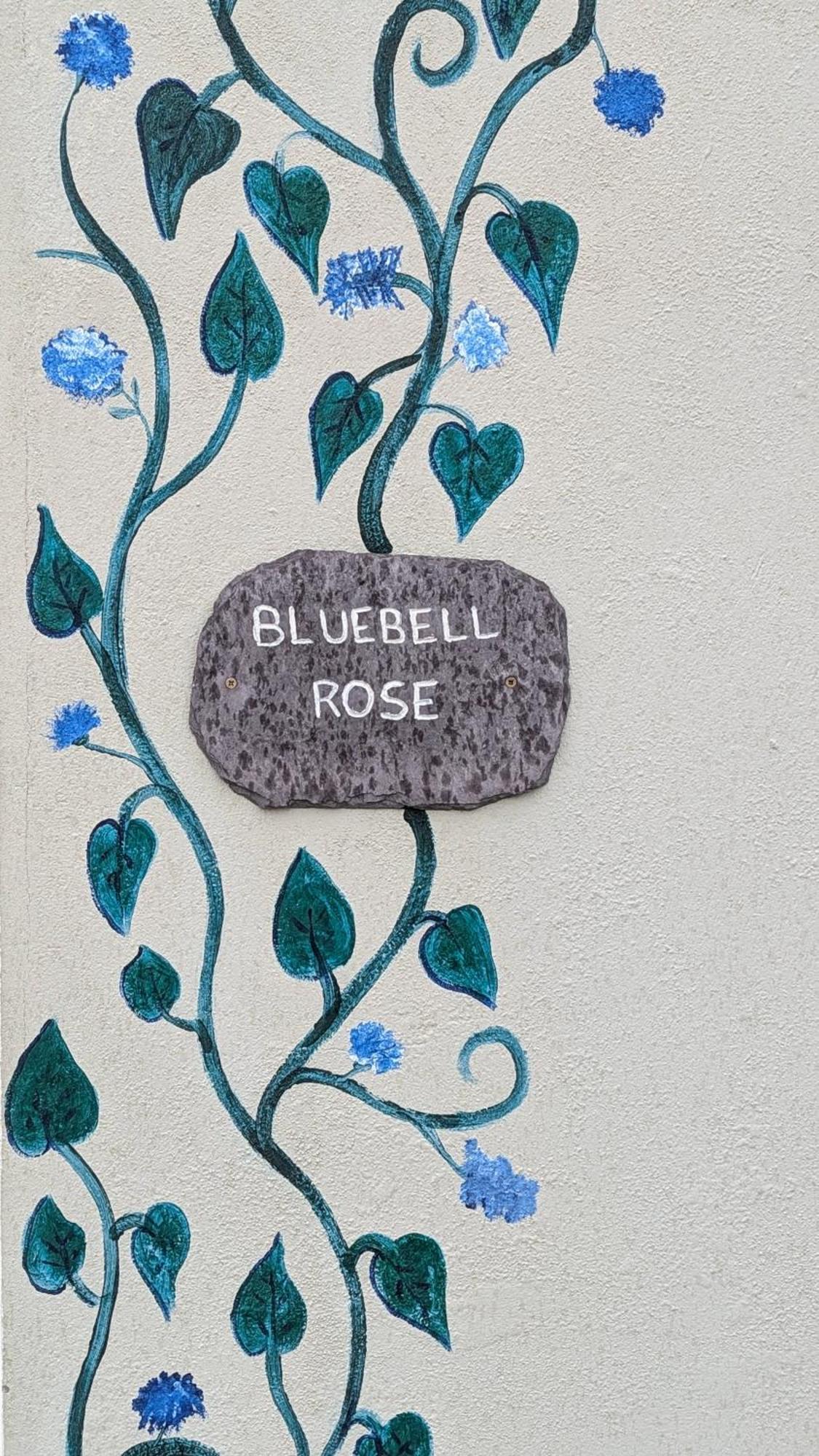 Skellig View Bluebell Rose & The Kerry Cliffs Apartment Portmagee Exterior photo
